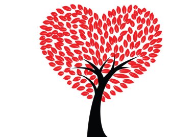 Kalp şeklinde bir ağaç