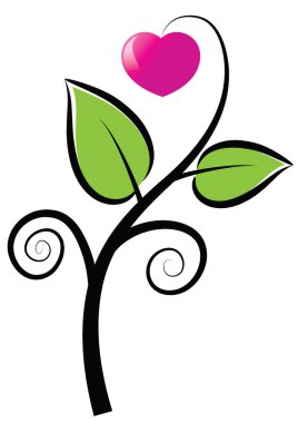 Bir kalbin vektör illüstrasyonu