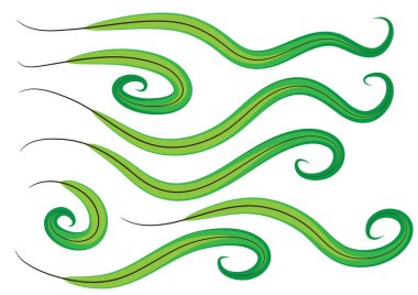 Girdap biçimindeki dalgaların vektör çizimi.