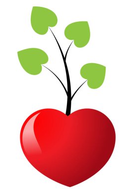 Beyaz arkaplanda kırmızı elma ile kalp şekli