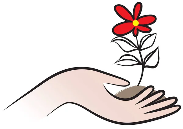 Hand Met Een Bloem — Stockvector