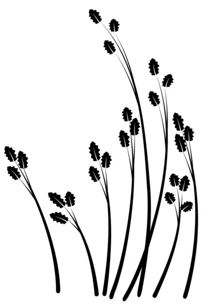 Ilustración Vectorial Flores Blanco Negro — Archivo Imágenes Vectoriales