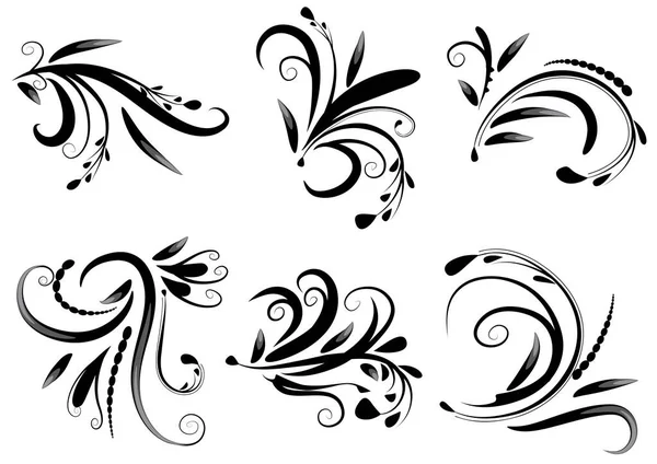 Conjunto Elementos Florales Blanco Negro — Vector de stock