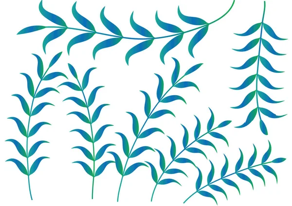 Векторна Ілюстрація Набору Зелених Листя — стоковий вектор