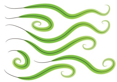 Beyaz arkaplanda yeşil girdaplar