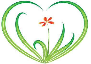 Beyaz arka planda iki güzel kalp şeklindeki çiçeğin çizimi