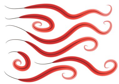 Kırmızı ve beyaz dalgalı çizgilerin vektör çizimi