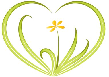 Bir kalbin vektör illüstrasyonu