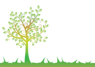 Beyaz arkaplanda izole edilmiş alanda büyüyen ağaç