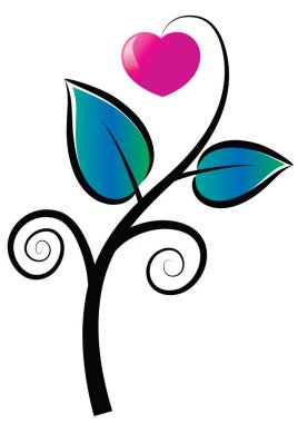 Bir kalbin vektör illüstrasyonu