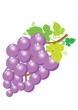 Üzümün vektör illüstrasyonu