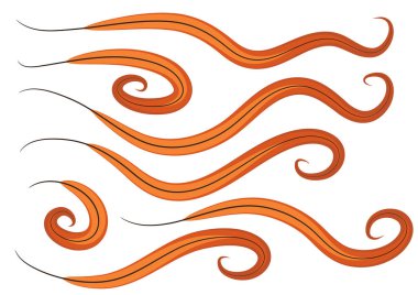 Dalgalı çizgilerin vektör kümesi