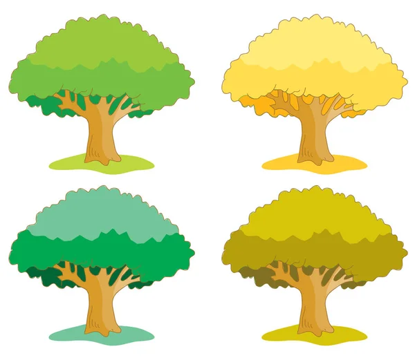 Conjunto Diferentes Árvores Folhas Fundo Branco —  Vetores de Stock