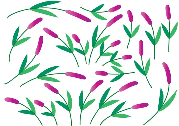 Ilustração Vetorial Folhas Rosa Verde —  Vetores de Stock