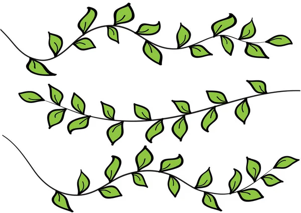 Vektor Illustration Grön Blad — Stock vektor