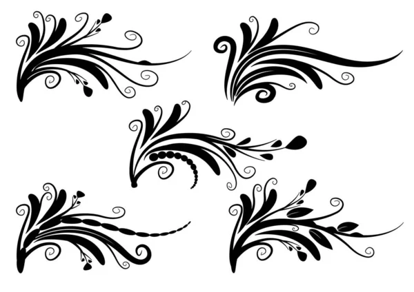 Vector Conjunto Elementos Florales Blanco Negro — Archivo Imágenes Vectoriales