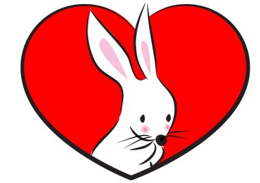 Kalbi olan bir tavşan