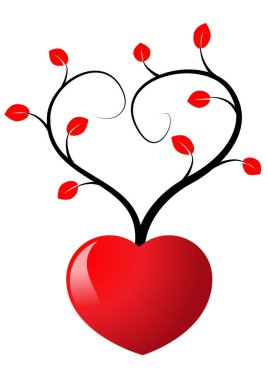 Bir kalbin vektör çizimi ve kırmızı bir gül