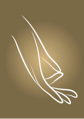 Bir kuşun vektör çizimi