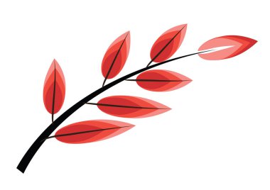Kırmızı yaprakların vektör çizimi