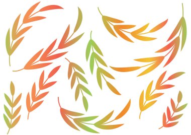 vektör kümesi buğday ve bitkiler