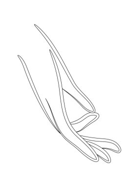 bir elin siyah ve beyaz vektör çizimi 