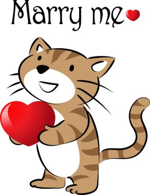 beyaz arka planda izole edilmiş kalbi olan küçük sevimli bir kedi. Romantik bir kavram. 