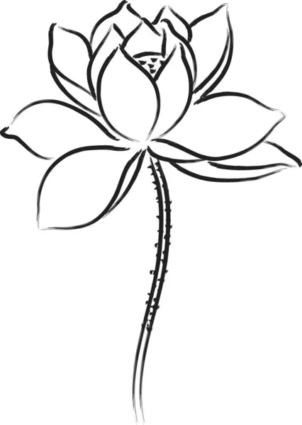 Cartoon Mooie Lotus Bloem Geïsoleerd Witte Achtergrond Vector Illustratie — Stockvector