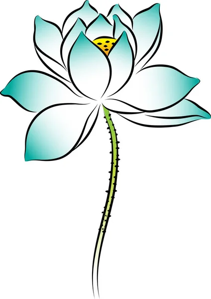 Beyaz Arkaplanda Izole Edilmiş Güzel Çiçek Çizimi — Stok Vektör