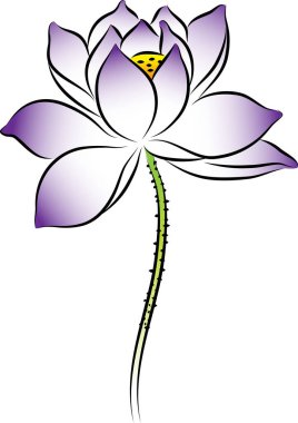 beyaz arkaplanda izole edilmiş güzel çiçek çizimi