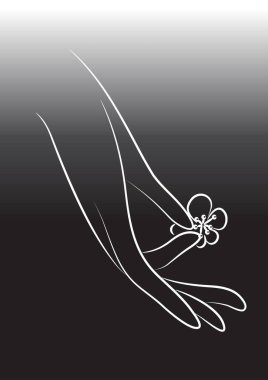 Bir kelebeğin silüeti