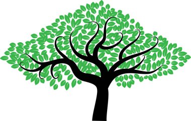 güzel dizayn uzun ağaçlar