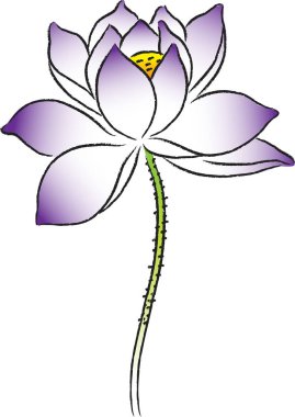 beyaz arkaplanda izole edilmiş güzel çiçek çizimi