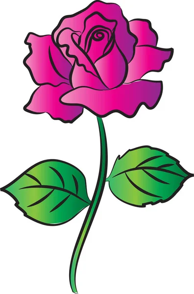 Ilustração Vetor Flor Rosa — Vetor de Stock