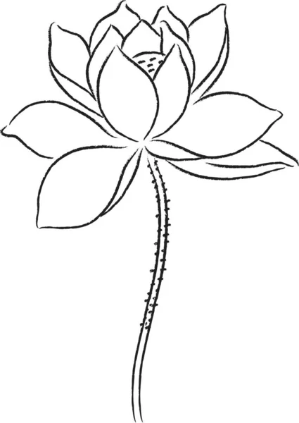 Cartoon Mooie Lotus Bloem Geïsoleerd Witte Achtergrond Vector Illustratie — Stockvector