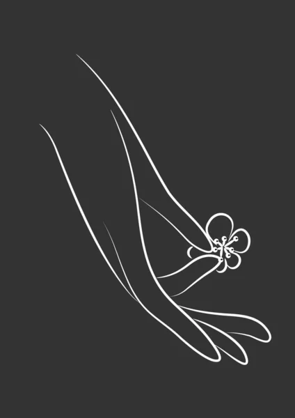 Векторна Ілюстрація Жіночих Крил — стоковий вектор
