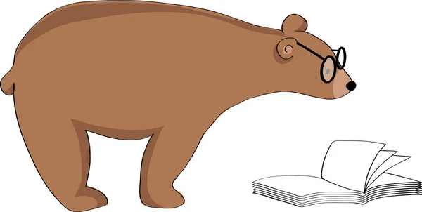 Bear Vector Illustration Background — Stock Vector