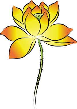 beyaz arkaplanda izole edilmiş güzel çiçek çizimi