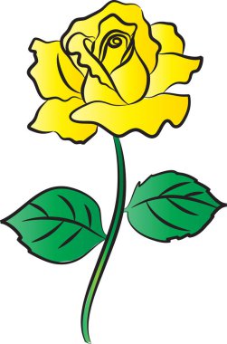 Gül çiçeği vektör illüstrasyonu