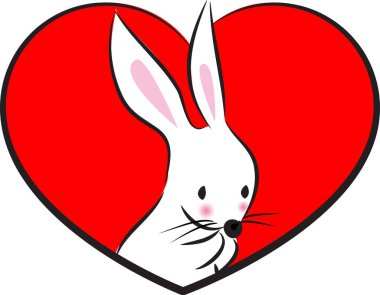 Kalbinde beyaz arka planda izole edilmiş küçük sevimli tavşan, romantik bir kavram. 