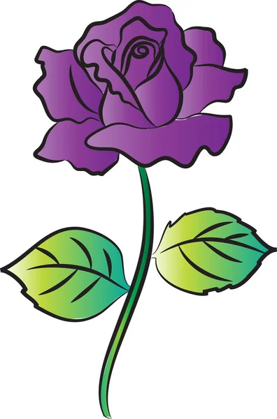Векторная Иллюстрация Цветов Розы — стоковый вектор