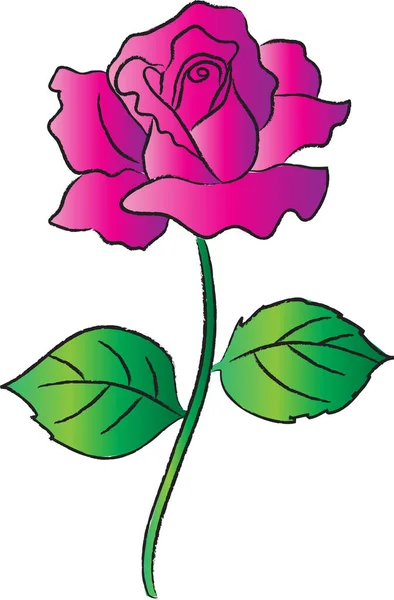 Ilustração Vetor Flor Rosa — Vetor de Stock