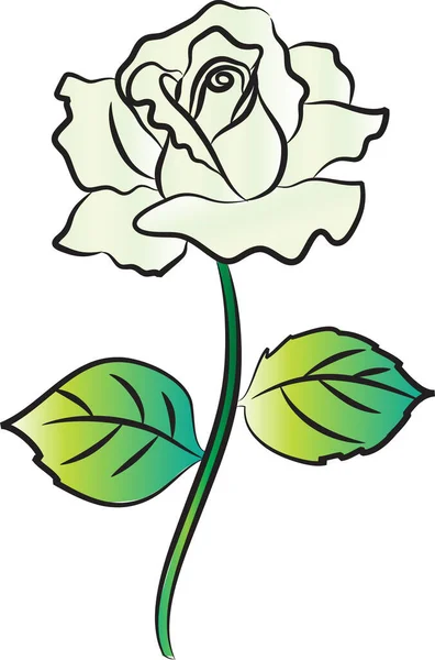 Векторная Иллюстрация Цветов Розы — стоковый вектор