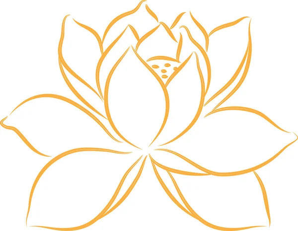 Kreskówka Piękny Kwiat Lotosu Izolowane Białym Tle Wektor Ilustracja — Wektor stockowy