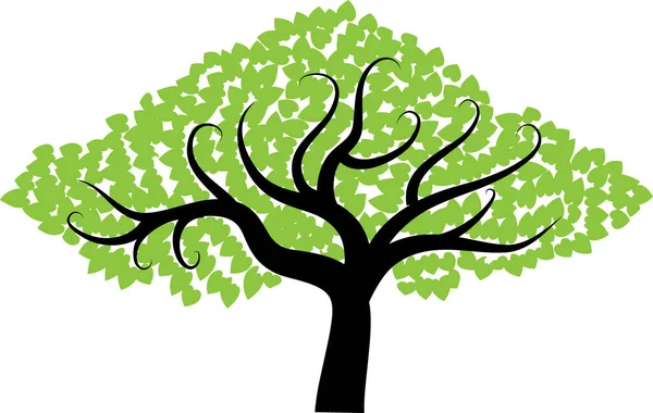 güzel dizayn uzun ağaçlar