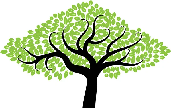 güzel dizayn uzun ağaçlar