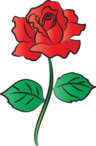 Rose Flower Vector Illustration — Stock Vector