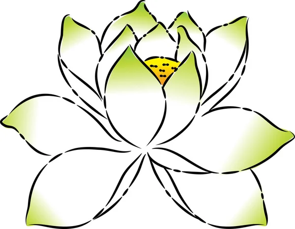 Tecknad Vacker Lotus Blomma Isolerad Vit Bakgrund Vektor Illustration — Stock vektor