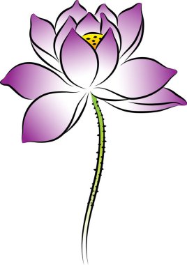 beyaz arkaplanda izole edilmiş güzel çiçek çizimi