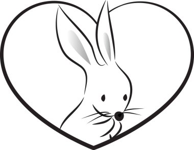 Kalbinde beyaz arka planda izole edilmiş küçük sevimli tavşan, romantik bir kavram. 